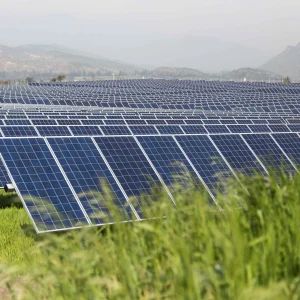 Paneles Solares para Empresa