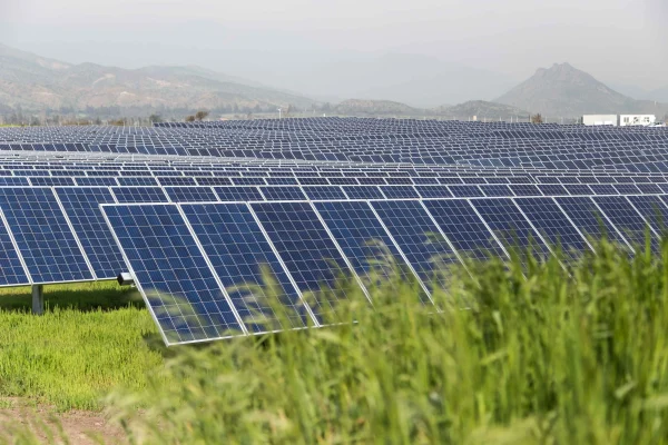 Paneles Solares para Empresa